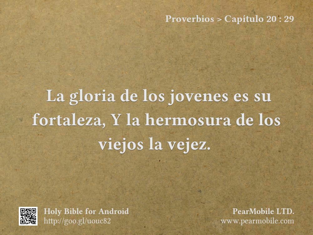Proverbios, Capítulo 20:29